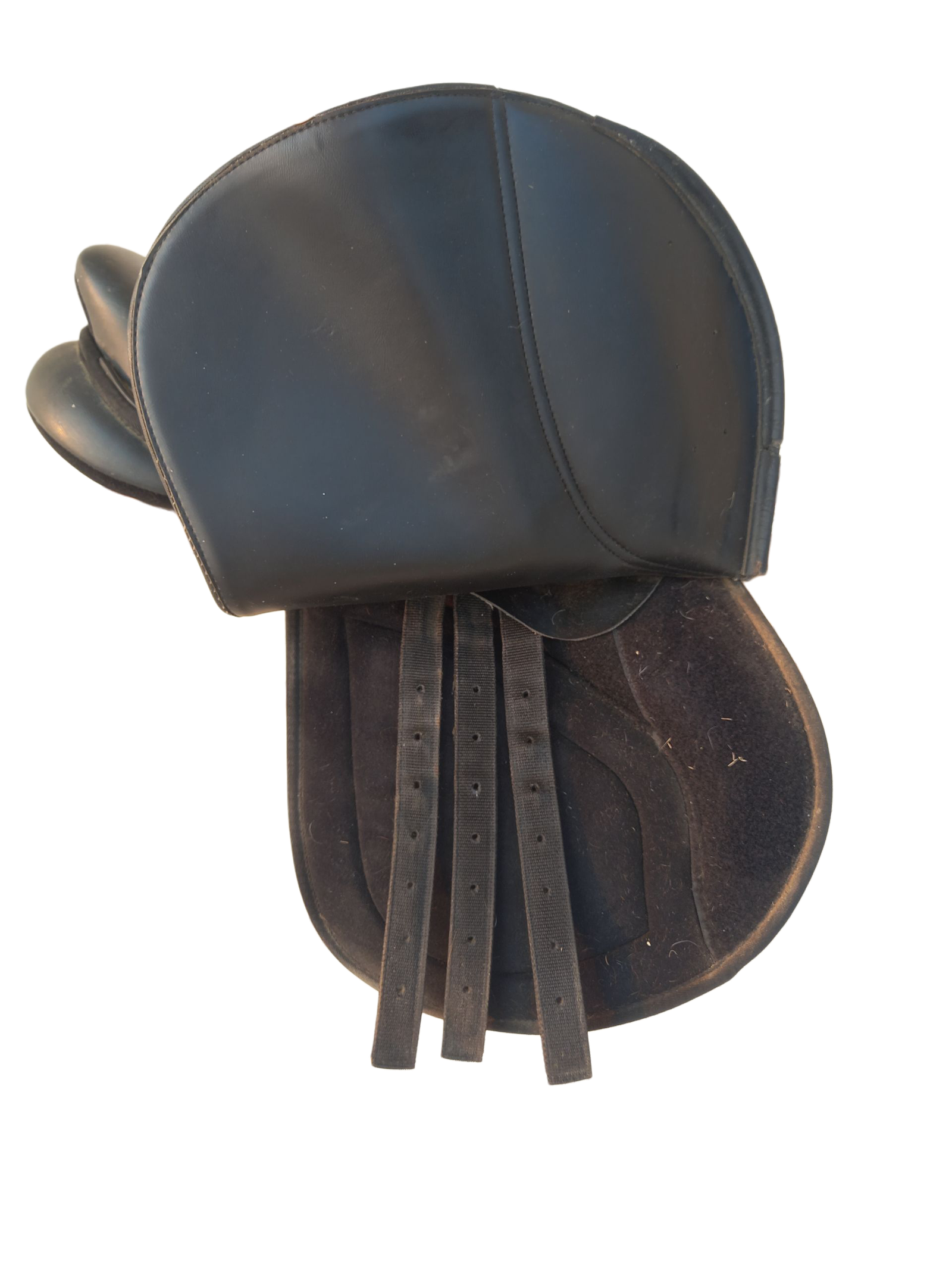 IMG_1290068382602543757 Selle Norton 17" – Image 6