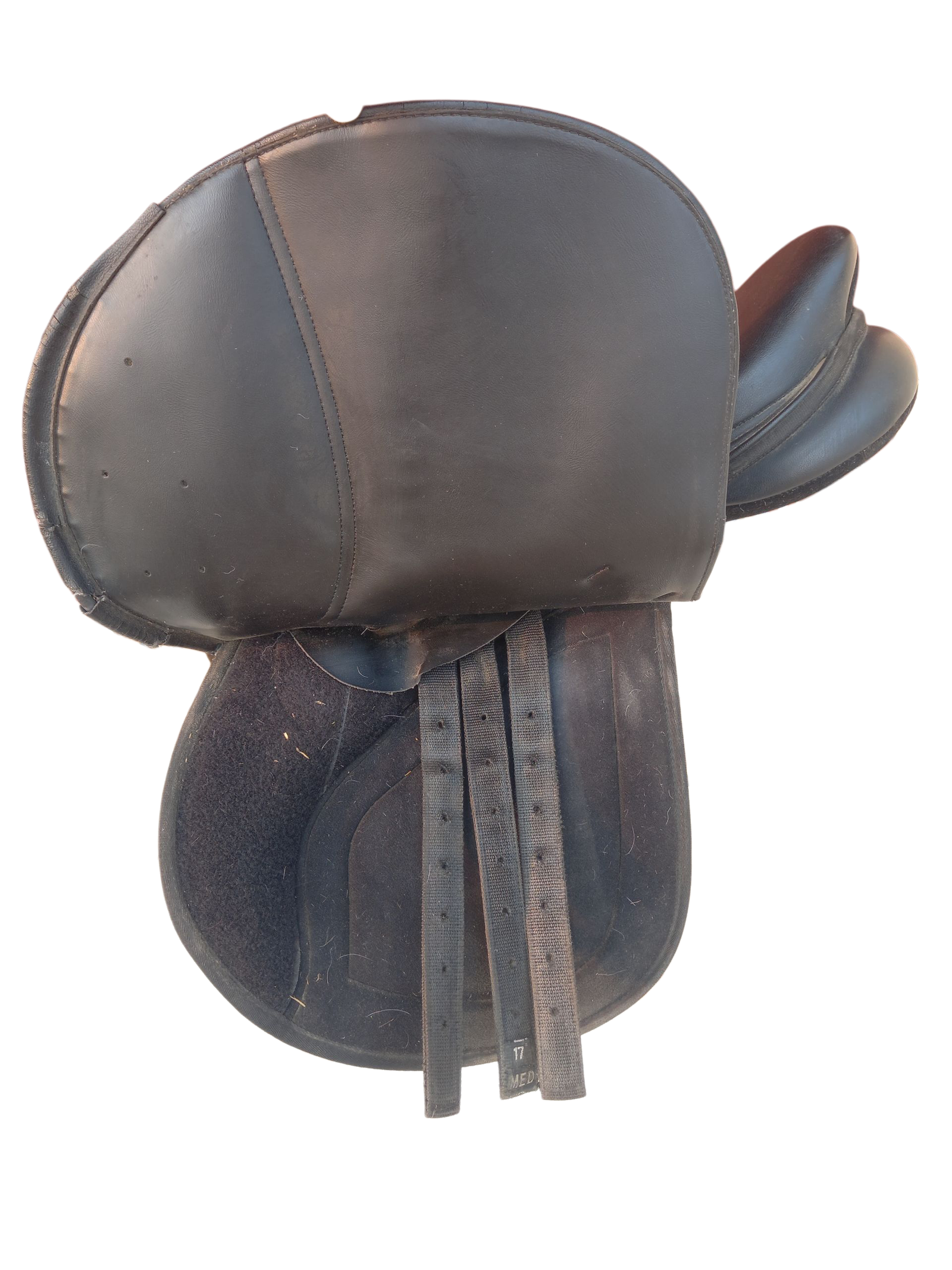 IMG_1316721236461348654 Selle Norton 17" – Image 5