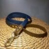 Laisse en Biothane® ou sangle enduite PVC