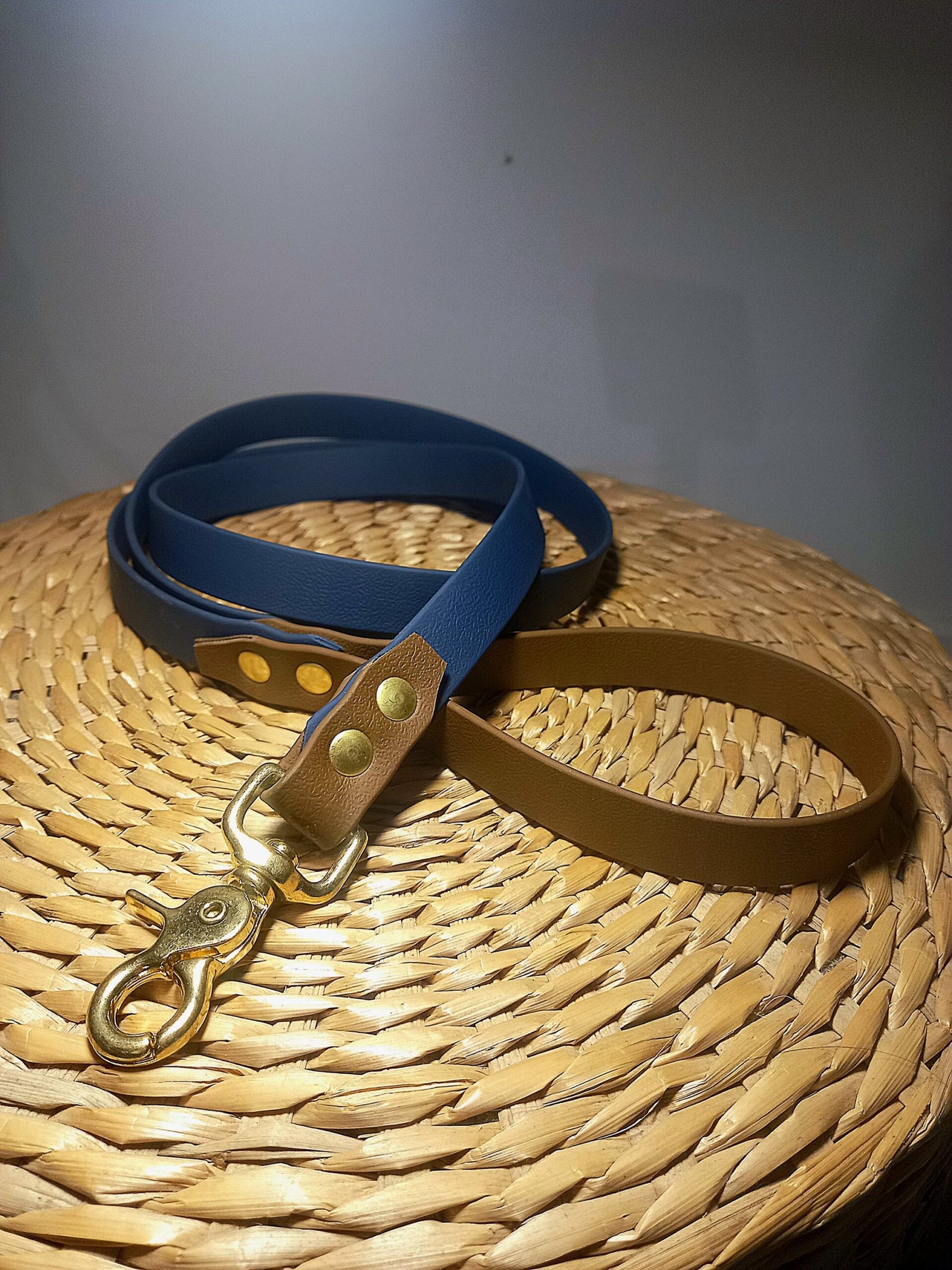 laisse en biothane® ou sangle enduite pvc