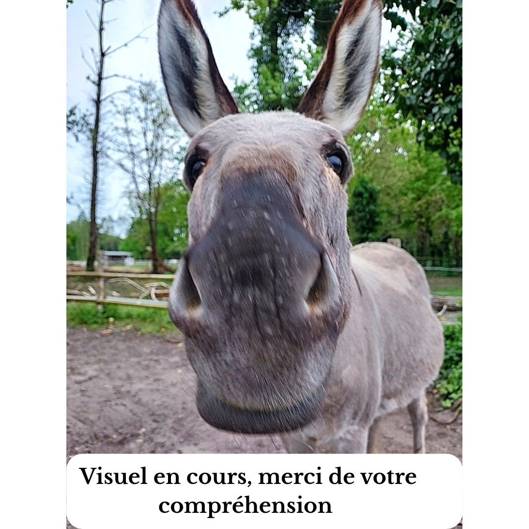 rênes en corde