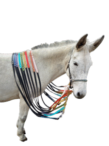 rênes grip en biothane® ou sangle enduite pvc