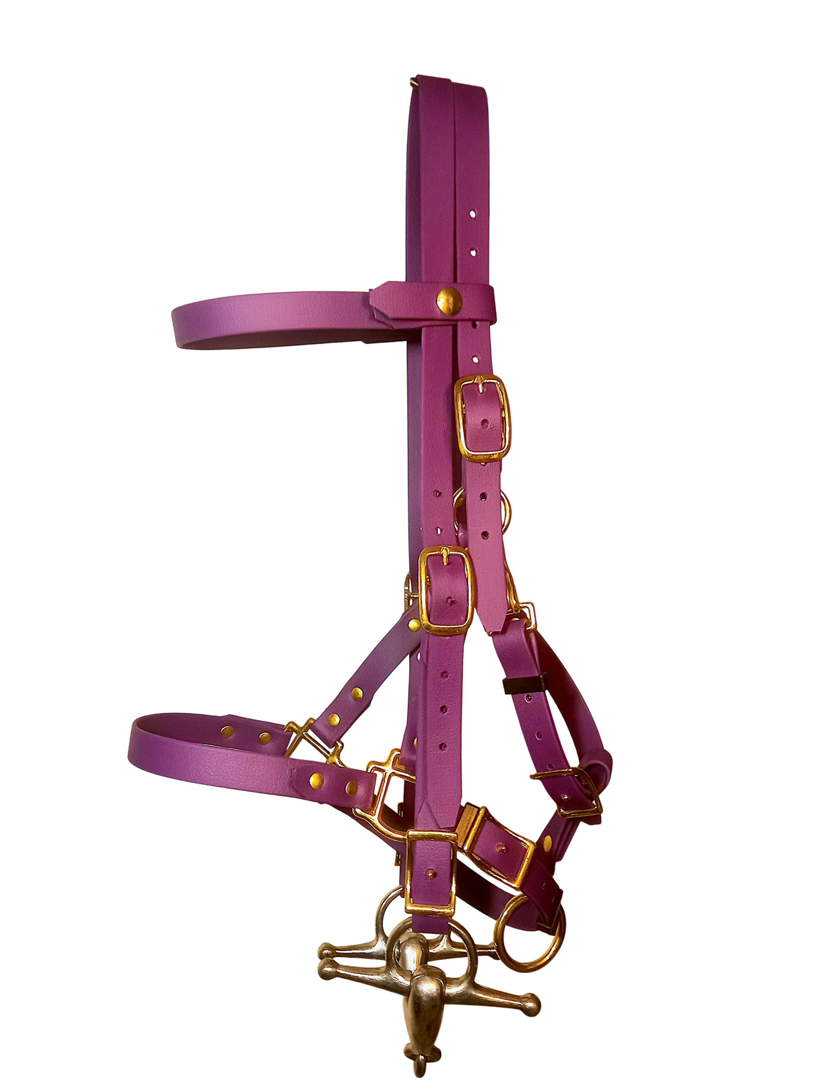 en stock 2 en 1 bridon licol taille cob