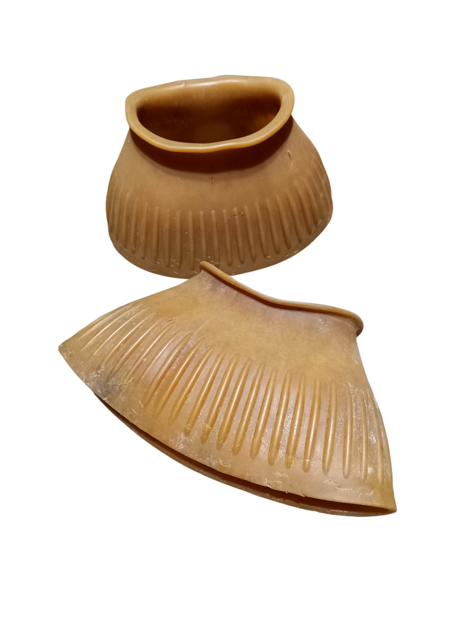 2026/02/1000032500.png cloches cheval